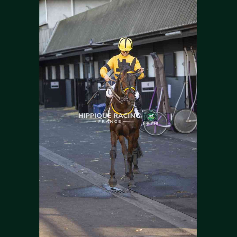 Course 7 14/04/2026 - photos course hippodrome paris vincennes trot