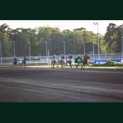Course 8 14/04/2026 - photos course hippodrome paris vincennes trot