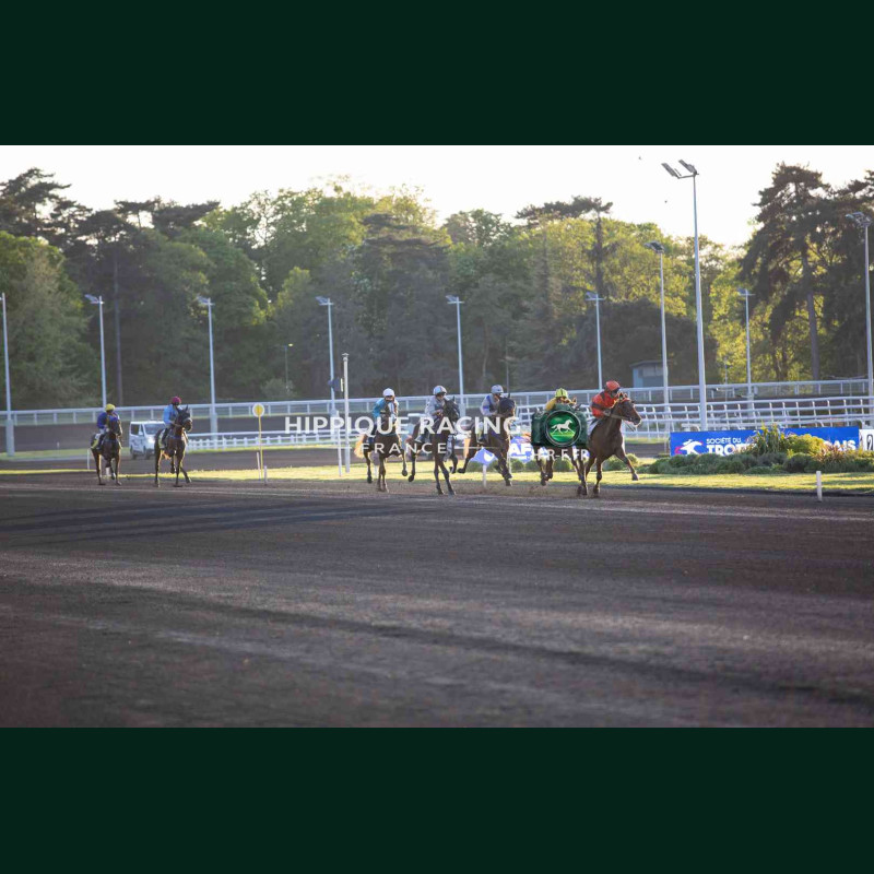 Course 8 14/04/2026 - photos course hippodrome paris vincennes trot