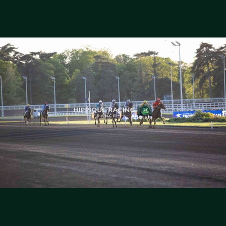 Course 8 14/04/2026 - photos course hippodrome paris vincennes trot