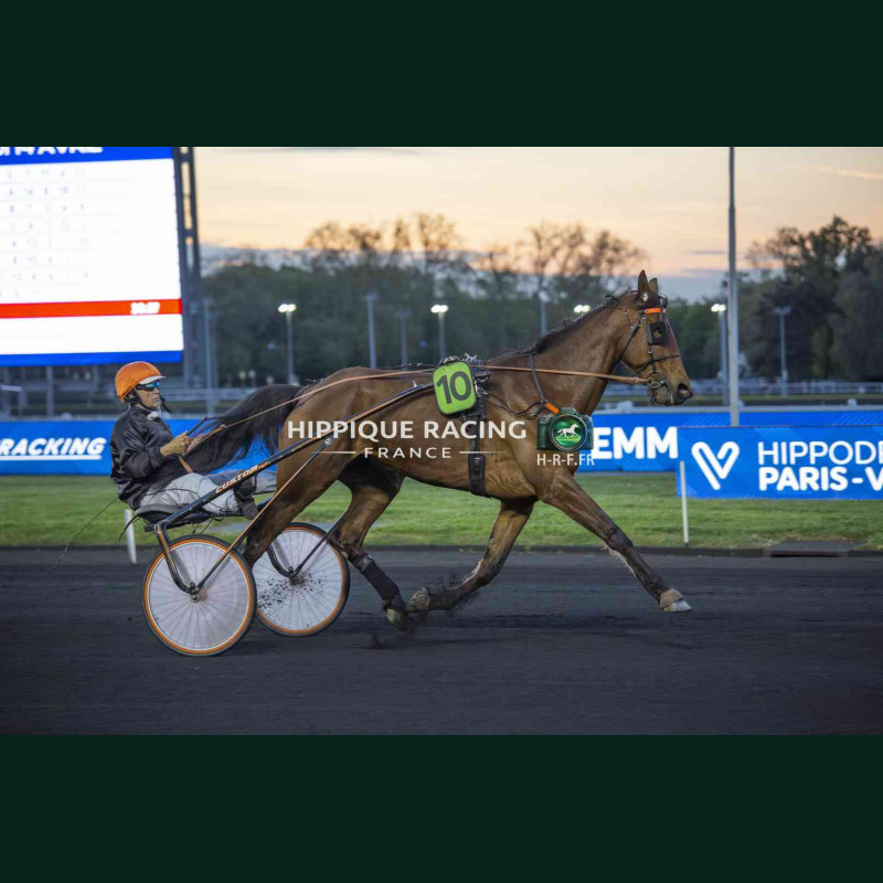 Course 9 14/04/2026 - photos course hippodrome paris vincennes trot