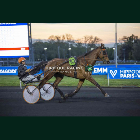 Course 9 14/04/2026 - photos course hippodrome paris vincennes trot