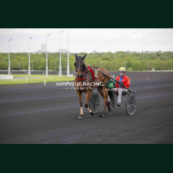 Course 1 17/04/2026 - photos course hippodrome paris vincennes trot