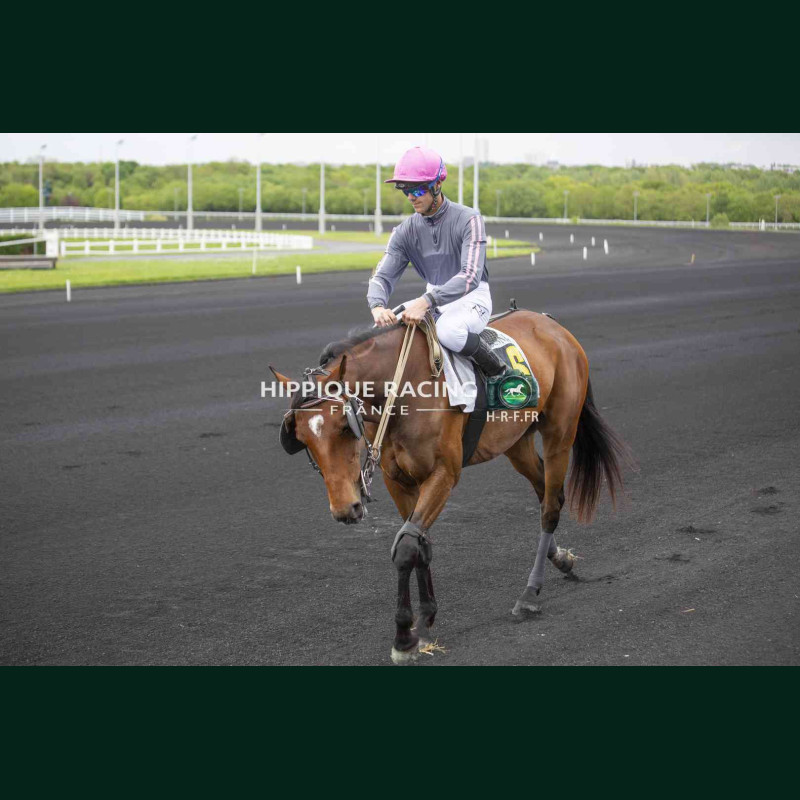 Course 2 17/04/2026 - photos course hippodrome paris vincennes trot