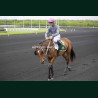 Course 2 17/04/2026 - photos course hippodrome paris vincennes trot