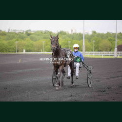 Course 3 17/04/2026 - photos course hippodrome paris vincennes trot