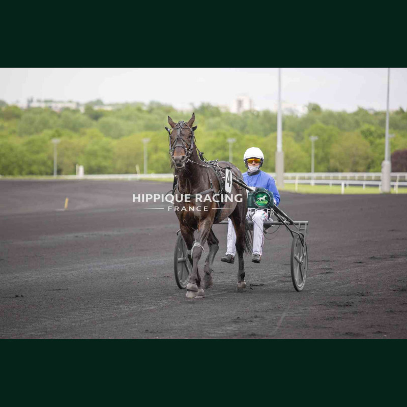 Course 3 17/04/2026 - photos course hippodrome paris vincennes trot