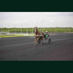 Course 4 17/04/2026 - photos course hippodrome paris vincennes trot