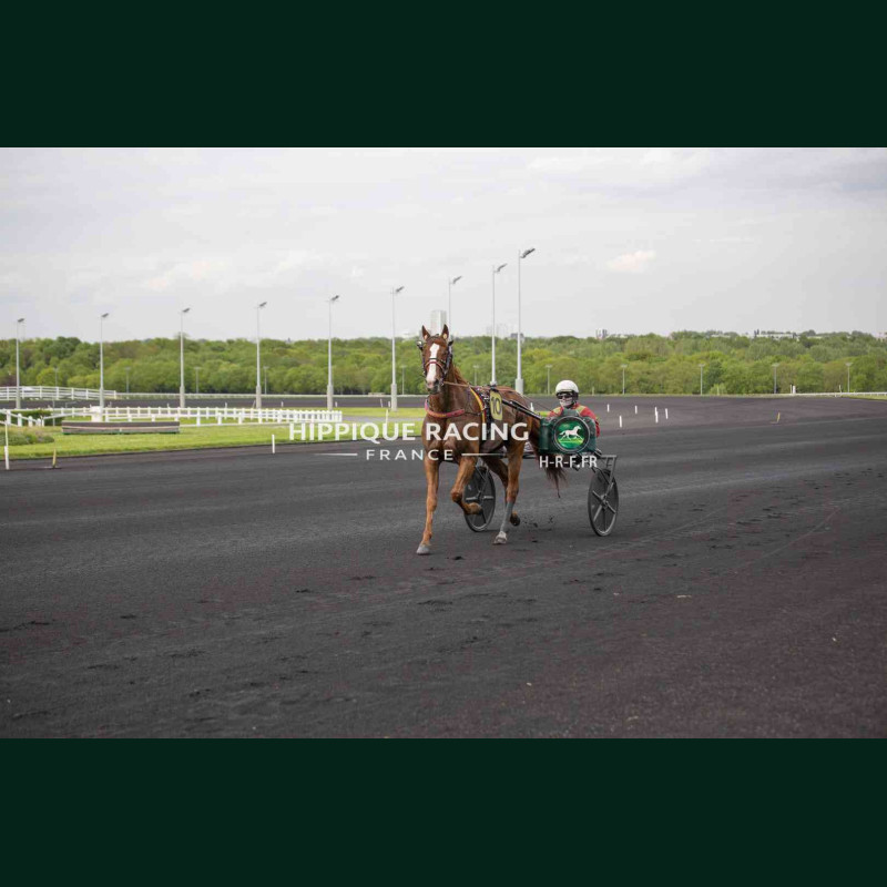 Course 4 17/04/2026 - photos course hippodrome paris vincennes trot