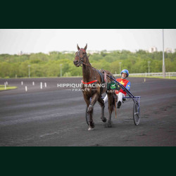 course 5 17/04/2026 - photos course hippodrome paris vincennes trot