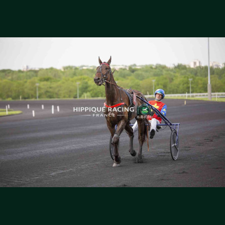 course 5 17/04/2026 - photos course hippodrome paris vincennes trot