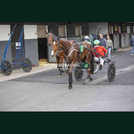 Course 6 17/04/2026 - photos course hippodrome paris vincennes trot