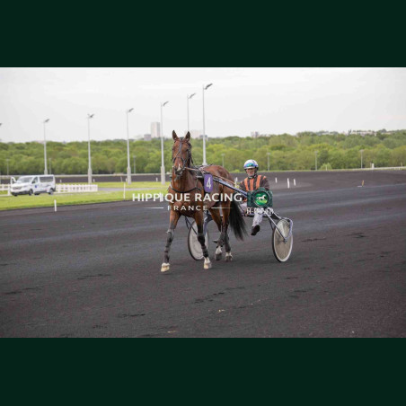 Course 7 17/04/2026 - photos course hippodrome paris vincennes trot