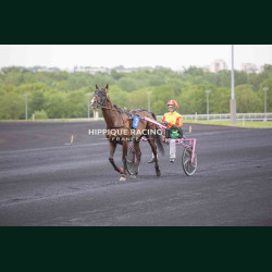 Course 8 17/04/2026 - photos course hippodrome paris vincennes trot