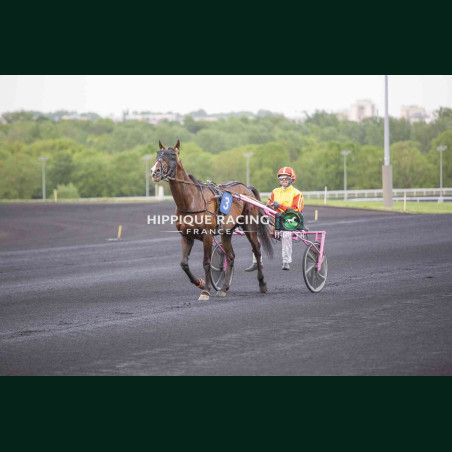 Course 8 17/04/2026 - photos course hippodrome paris vincennes trot