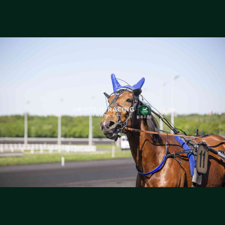 Course 1 24/04/2026 - photos course hippodrome paris vincennes trot