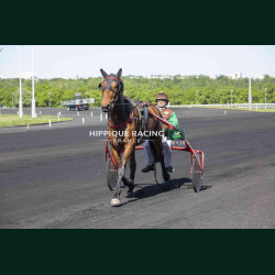 Course 2 24/04/2026 - photos course hippodrome paris vincennes trot