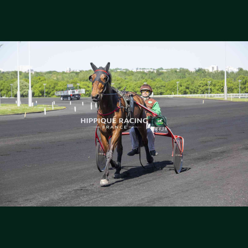 Course 2 24/04/2026 - photos course hippodrome paris vincennes trot