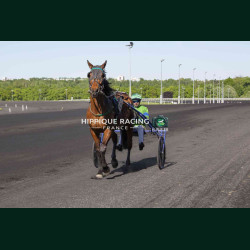 Course 3 24/04/2026 - photos course hippodrome paris vincennes trot