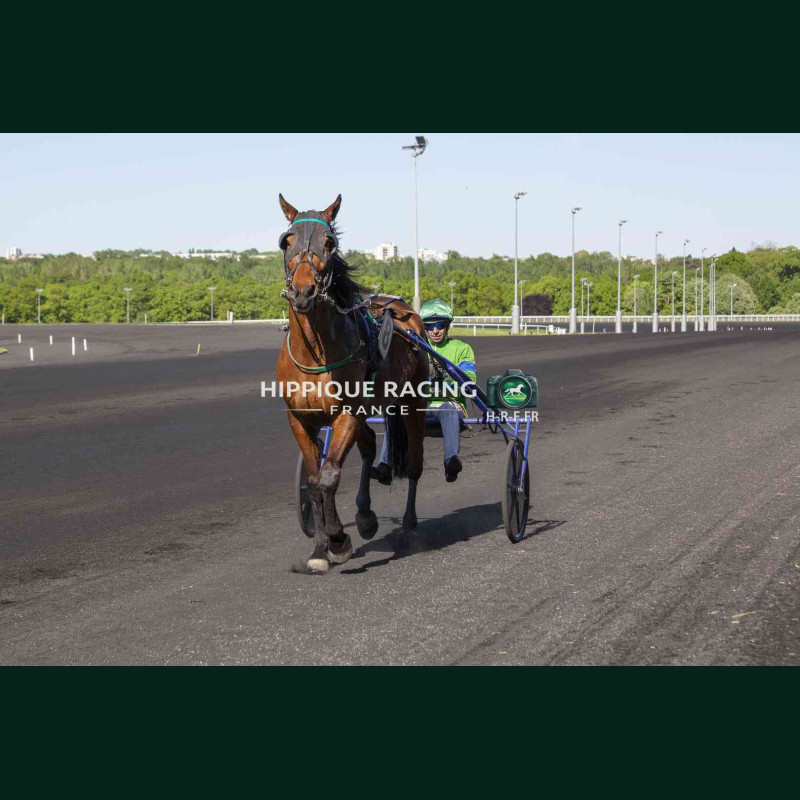 Course 3 24/04/2026 - photos course hippodrome paris vincennes trot