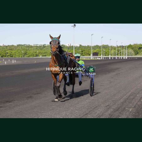 Course 3 24/04/2026 - photos course hippodrome paris vincennes trot
