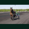 Course 3 24/04/2026 - photos course hippodrome paris vincennes trot