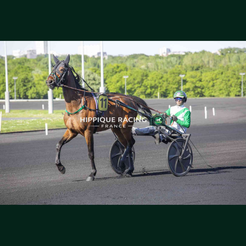 Course 4 24/04/2026 - photos course hippodrome paris vincennes trot