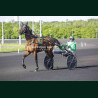 Course 4 24/04/2026 - photos course hippodrome paris vincennes trot