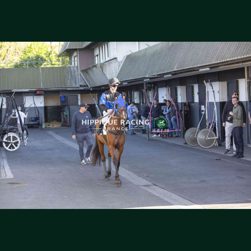 Course 5 24/04/2026 - photos course hippodrome paris vincennes trot