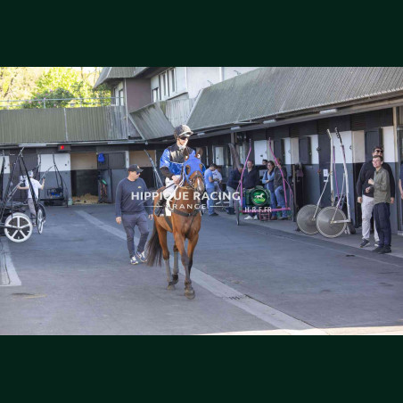 Course 5 24/04/2026 - photos course hippodrome paris vincennes trot