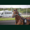 course 2 28/04/2026 - photos course hippodrome paris vincennes trot