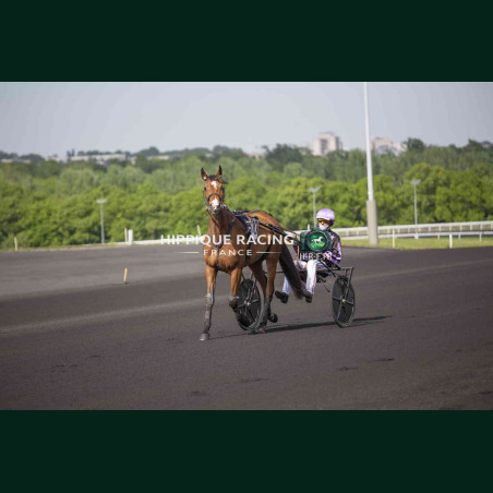 course 3 28/04/2026 - photos course hippodrome paris vincennes trot