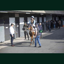 course 4 28/04/2026 - photos course hippodrome paris vincennes trot
