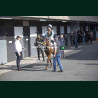 course 4 28/04/2026 - photos course hippodrome paris vincennes trot