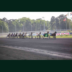 course 5 28/04/2026 - photos course hippodrome paris vincennes trot