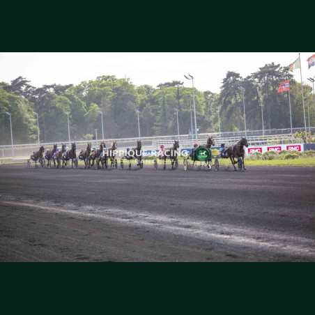 course 5 28/04/2026 - photos course hippodrome paris vincennes trot