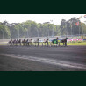 course 5 28/04/2026 - photos course hippodrome paris vincennes trot