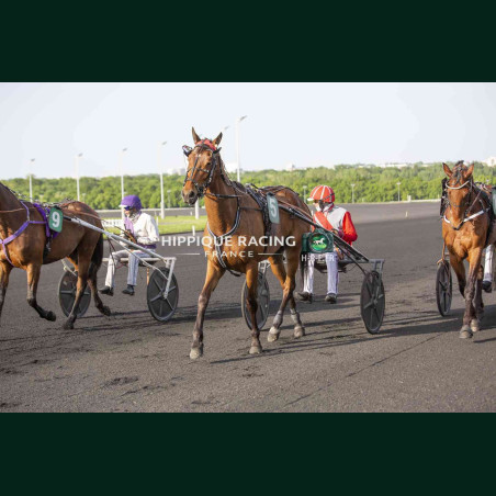 course 6 28/04/2026 - photos course hippodrome paris vincennes trot