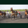 course 6 28/04/2026 - photos course hippodrome paris vincennes trot