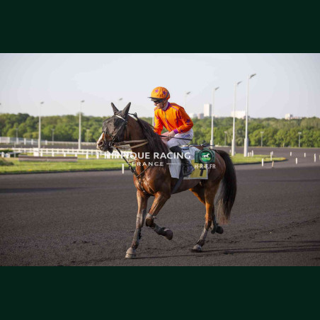 Course 7 28/04/2026 - photos course hippodrome paris vincennes trot