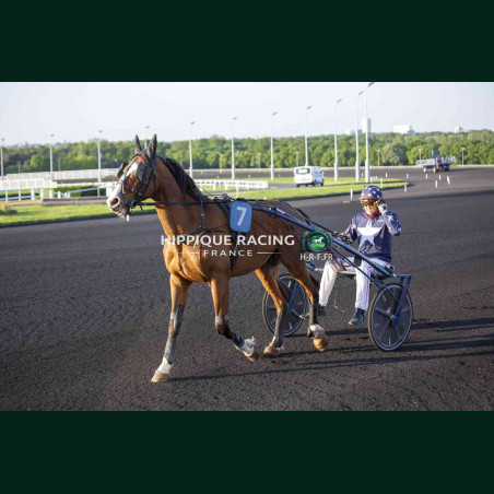 course 8 28/04/2026 - photos course hippodrome paris vincennes trot