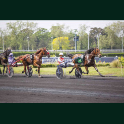Course 2 02/05/2026 - photos course hippodrome paris vincennes trot