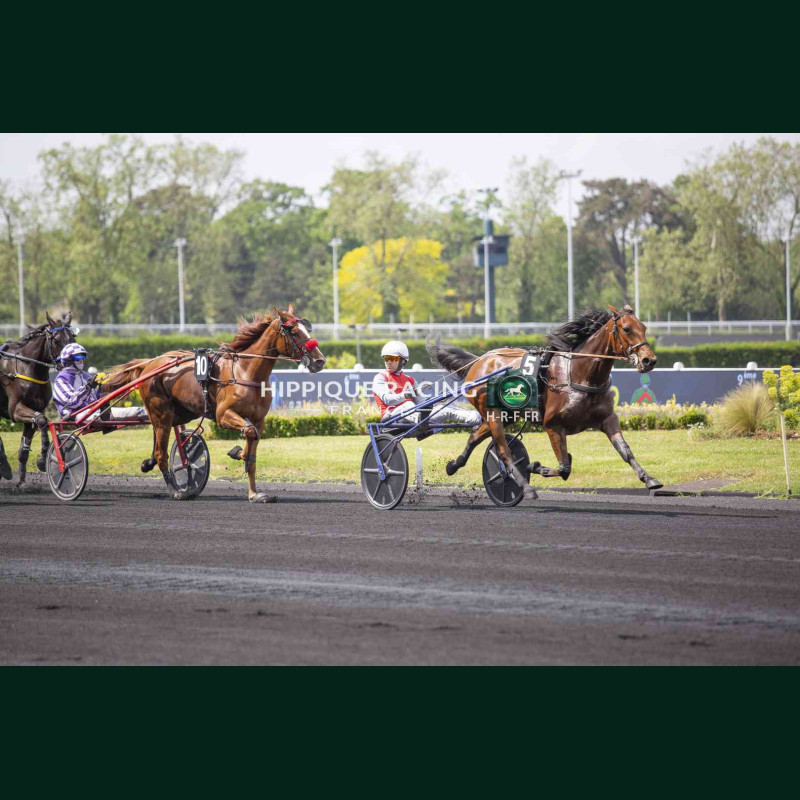 Course 2 02/05/2026 - photos course hippodrome paris vincennes trot