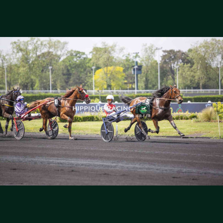 Course 2 02/05/2026 - photos course hippodrome paris vincennes trot