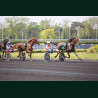Course 2 02/05/2026 - photos course hippodrome paris vincennes trot