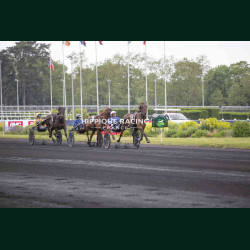 Course 3 02/05/2026 - photos course hippodrome paris vincennes trot