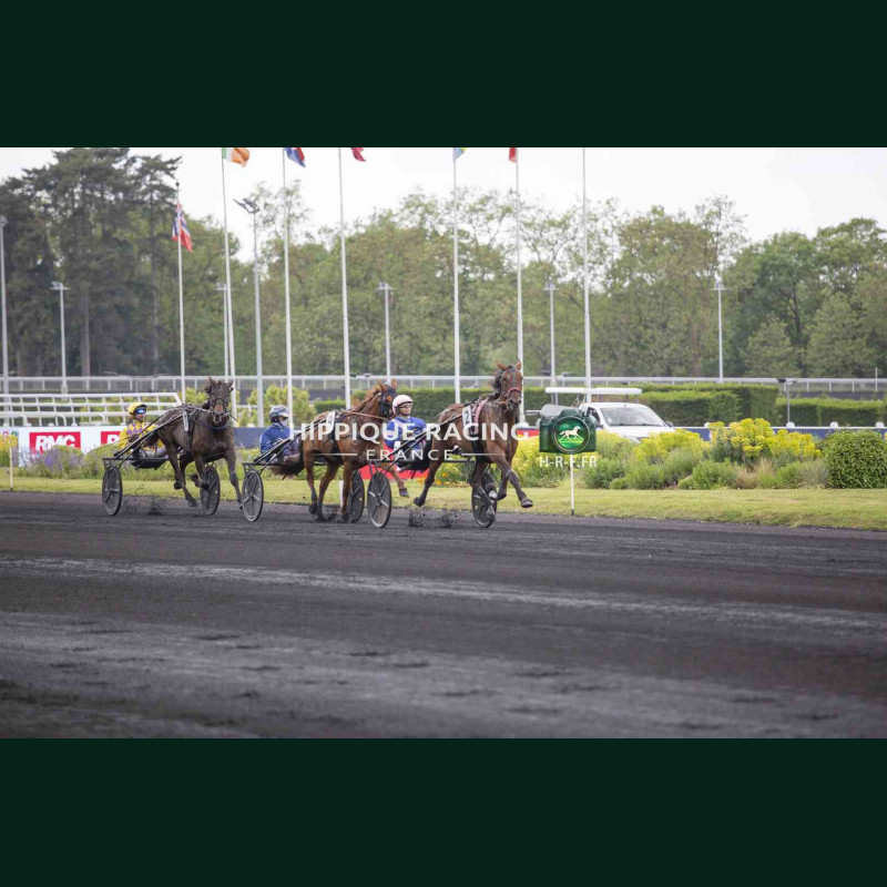 Course 3 02/05/2026 - photos course hippodrome paris vincennes trot