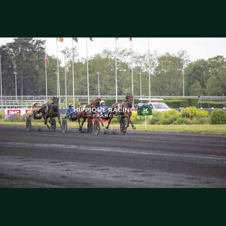 Course 3 02/05/2026 - photos course hippodrome paris vincennes trot