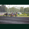 Course 3 02/05/2026 - photos course hippodrome paris vincennes trot