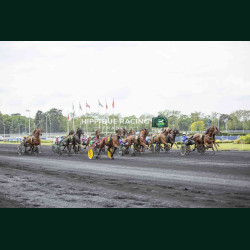 Course 4 02/05/2026 - photos course hippodrome paris vincennes trot